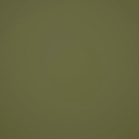 Light Olive Solid Wool Dobby Fabric - SKU 221